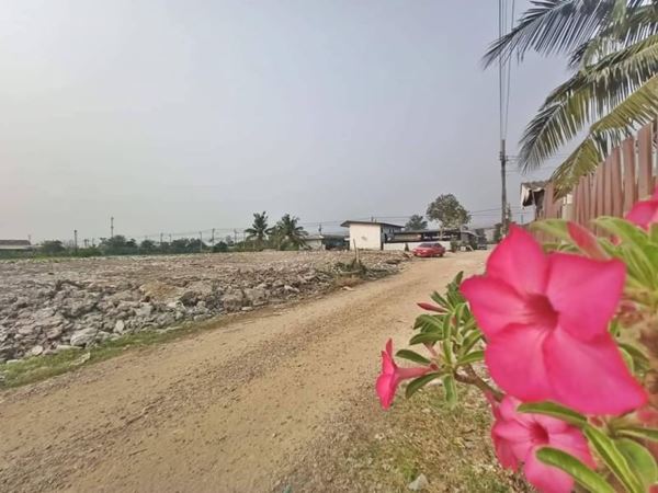 ลดราคารับสงกรานต์ที่ดินให้เช่า ที่ดินให้เช่าโซนบ้านกล้วยไทรน้อย (บางบัวทอง) T.062-1574449