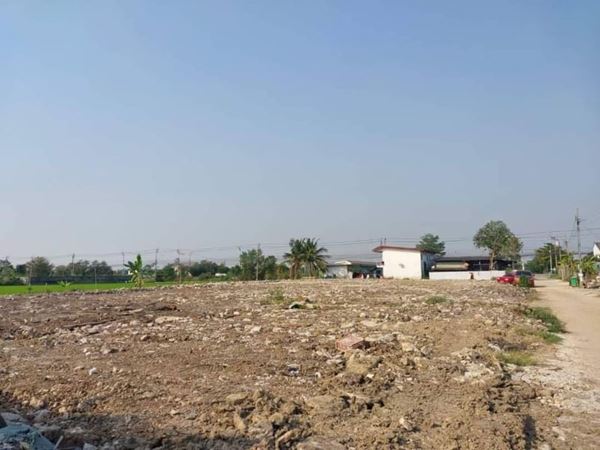 ลดราคารับสงกรานต์ที่ดินให้เช่า ที่ดินให้เช่าโซนบ้านกล้วยไทรน้อย (บางบัวทอง) T.062-1574449