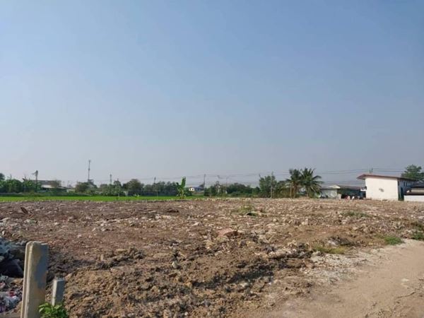 ลดราคารับสงกรานต์ที่ดินให้เช่า ที่ดินให้เช่าโซนบ้านกล้วยไทรน้อย (บางบัวทอง) T.062-1574449