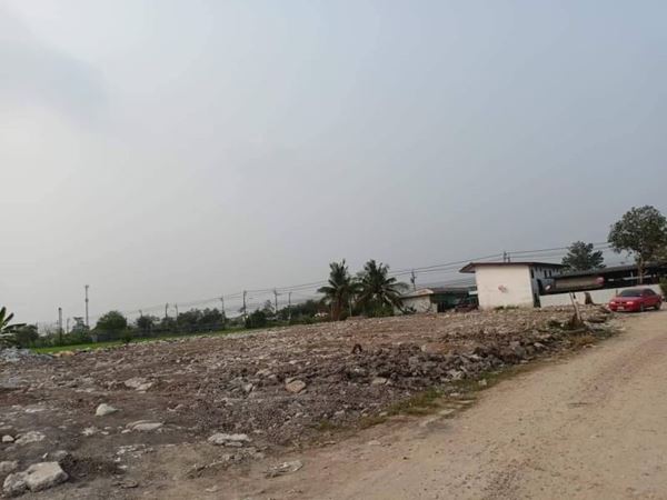 ลดราคารับสงกรานต์ที่ดินให้เช่า ที่ดินให้เช่าโซนบ้านกล้วยไทรน้อย (บางบัวทอง) T.062-1574449