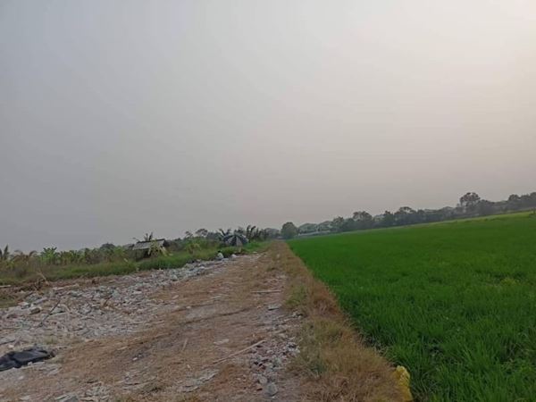ลดราคารับสงกรานต์ที่ดินให้เช่า ที่ดินให้เช่าโซนบ้านกล้วยไทรน้อย (บางบัวทอง) T.062-1574449