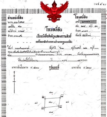ขายที่ดิน ม.นภาธานี 398ตรว 1.35ลบ. ถูกกว่าครึ่งราคาประเมิน ต.หารแก้ว ใกล้บิ๊กซี อ.หางดง ชม.