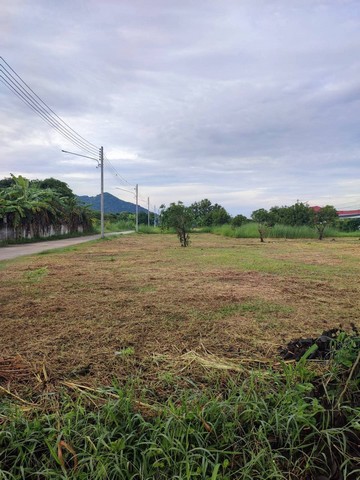 ขายที่ดินแปลงเล็ก ที่ดินเปล่า 1ไร่ 3งาน ติดทาง 2 ด้าน ราคาถูก อยู่ในชุมชน ต.เหมือง เมืองชลบุรี