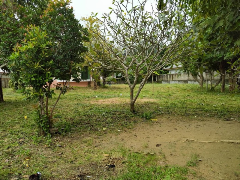 บ้านเดี่ยวชั้นเดียว พร้อมที่ดิน ใจกลางภูเก็ต 1-0-6.9  ตรว