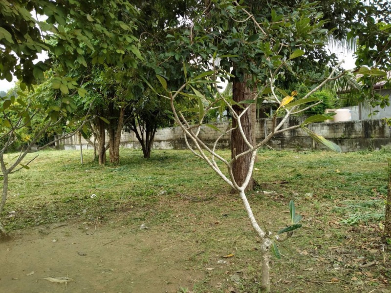 บ้านเดี่ยวชั้นเดียว พร้อมที่ดิน ใจกลางภูเก็ต 1-0-6.9  ตรว