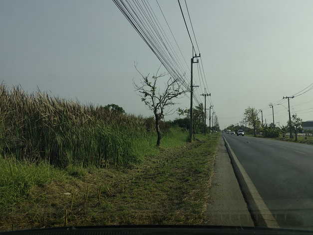 ขายที่ดิน 3 ไร่ ติดถนนร่วมพัฒนา ใกล้ถนนสุวินทวงค์ ต.ลำต้อยติ่ง เขต  หนองจอก (เจียระดับ)