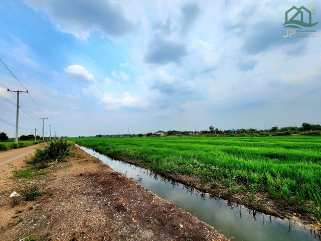 ขายที่ดินคลอง 12 หนองเสือ 5 ไร่ ติดถนน 2 ด้าน เหมาะปลูกบ้านสวน ทำเกษตรพอเพียงได้ ทำโกดัง อยู่ใกล้แหล่งชุมชน