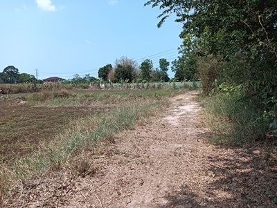 ขายที่ดินเปล่า ทำเลดีอยู่ใกล้สถานที่ท่องเที่ยวและโครงการหมู่บ้านจัดสรร มีเนื้อที่ 4 ไร่ 245 ตารางวา