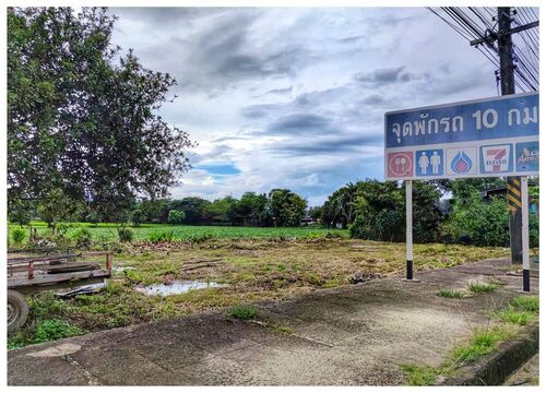 ขายที่ดินถมแล้ว 124 ตร.วา ติดถนน ทล.118 เชียงใหม่-เชียงราย ใกล้ สหกรณ์เวียงป่าเป่า จ.เชียงราย