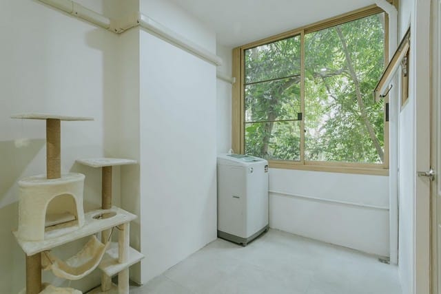 คอนโดทำเลทอง ห้องรีโนเวทใหม่ ห้องสำหรับทาสน้องเหมียว ใกล้เซนเฟส เชียงใหม่