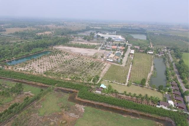 C3700 ขายที่ดิน 50 ไร่ 2 งาน พร้อมเรือนไทย บางคล้า ฉะเชิงเทรา ติดถนนใหญ่ ใกล้มหาวิทยาลัยราชภัฏราชครินทร์ ศูนย์บางคล้า