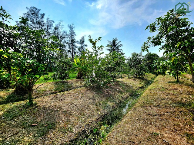 ขายที่ดินในโครงการบ้านสวนขวัญ นครชัยศรี นครปฐม  เหมาะ ปลูกบ้านสวน ทำเกษตรพอเพียง บรรยากาศดี  ซื้อไว้อยู่ในยามเกษียณได้ค่ะ