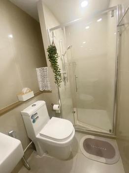 P04CR2208040 Condo For Rent The Tree Sukhumvit 71-Ekamai 1 Bedroom 1 Bathroom Size 30.5 sqm.