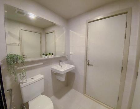 P35CR2305009 Condo For Sale THE BASE Sukhumvit 50 1 Bedroom 1 Bathroom Size 32 sqm.