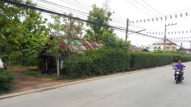 ขายที่ดิน สีม่วง 17 ไร่  สมุทรสาคร  ซอยวัดคลองมะเดื่อ  ไร่ล่ะ 6  ล้าน