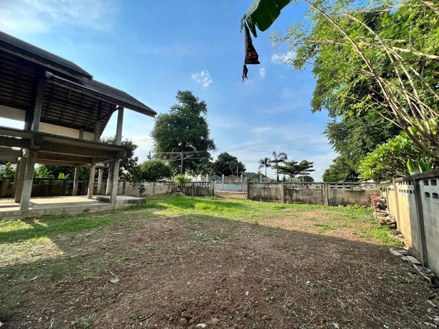 ขายที่ดิน สวยๆ พร้อมบ้าน ที่ดินติดดินคลองตะเคียน พร้อมบ้านเเถมไม้สัก จังหวัดอยุธยา