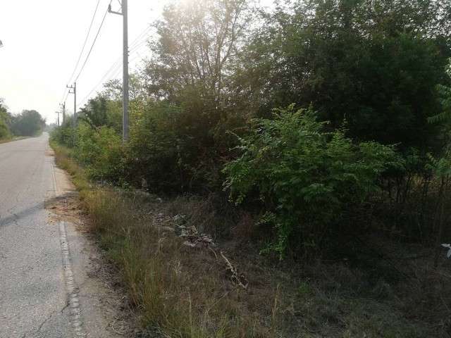 ขายที่สวยติดถนนหลวงสาย 1107 แบ่งขาย.บ้านตาก ติดถนนดำ ทางหลวงชนบท คมนาคมสะดวกมาก 36 ไร่เศษ อ.บ้านตาก  จ.ตาก  ติด ทล.1107 โทร 0968821857