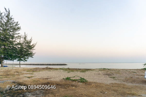 ขายที่ดิน ติดทะเล หาดเจ้าสำราญ เพชรบุรี ขนาด 2-2-48 ไร่ แปลงสวยรูปสี่เหลี่ยมผืนผ้า