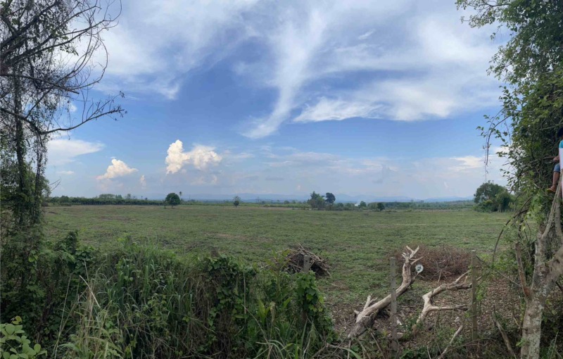 ขายที่ดินเปล่า ทำเลดี มีโฉนด (ครุฑแดง) อำเภอฝาง จังหวัดเชียงใหม่