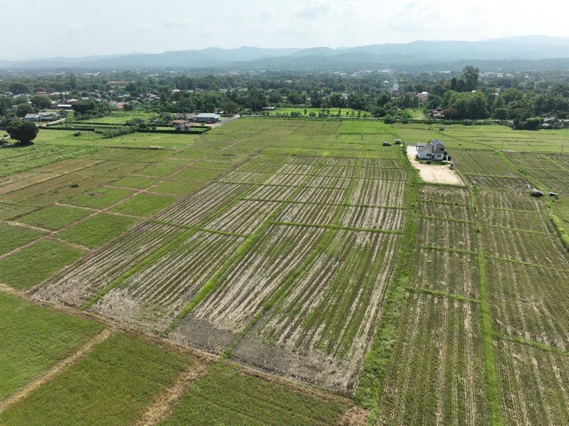 ขายที่ดิน 5 แปลง ตำบลสันโป่ง อำเภอแม่ริม จังหวัดเชียงใหม่