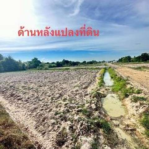 ที่ดินแปลงสวย ถมแล้ว ขนาดเนื้อที่รวม 8-0-97ไร่ เหมาะแก่การสร้างหมู่บ้านจัดสรรมาก