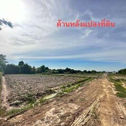ที่ดินแปลงสวย ถมแล้ว ขนาดเนื้อที่รวม 8-0-97ไร่ เหมาะแก่การสร้างหมู่บ้านจัดสรรมาก
