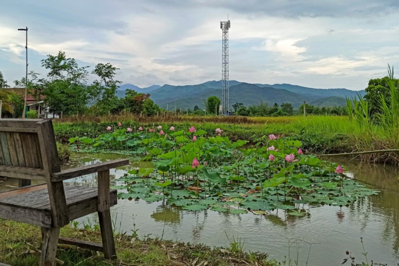 บ้านที่ดิน พร้อมร้านกาแฟมินิมอล วิวภูเขา พร้อมอยู่