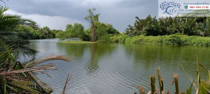 ขายที่ดินบ้านแพ้ว2ไร่