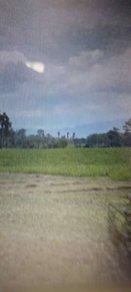 Big plot of land for sale 76 Rais  vacant land The lowest price with accurate title at Tak North of Thailand