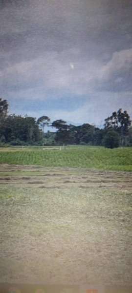 sell vacant land 76 rais The lowest price with accurate title deed