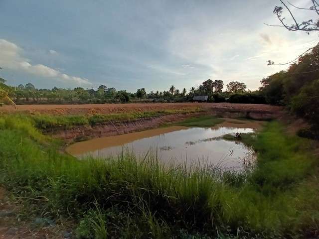 ขายด่วน ที่ดินมีสวนผลไม้ติดถนนลาดยางทางหลวงชนบท ตำบลบ้านหอย  อำเภอประจันตคาม จังหวัดปราจีนบุรี