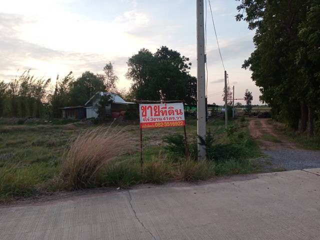 ขายด่วน ที่ดินพร้อมสวนและบ้าน ตำบลโคกสำโรง อำเภอโคกสำโรง จังหวัดลพบุรี