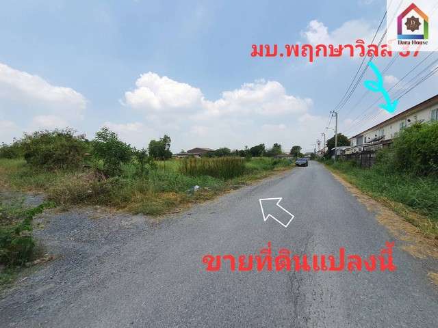 ขาย ที่ดิน ซอยวัชรพล 4 สายไหม กรุงเทพ ใกล้รร.ไทยรัฐวิทยา 75 ทำเลดี พื้นที่ใกล้เคียงเป็นหมู่บ้าน