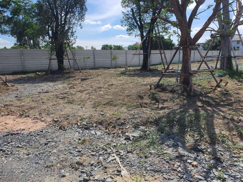 Big vacant Land for sale AT  Nong Khaem next to Phasi Charoen Canal