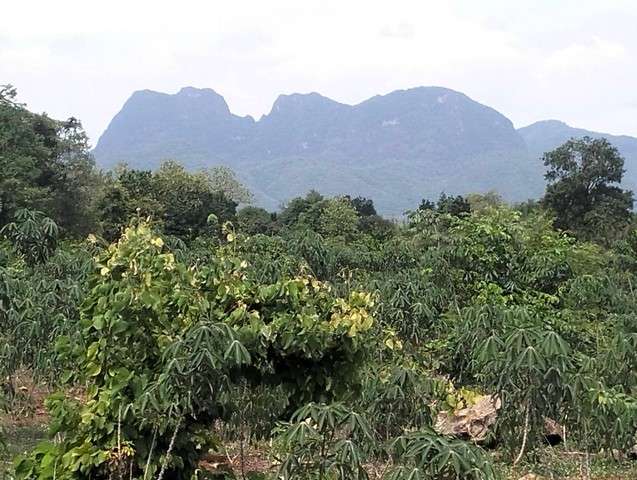 ขายที่ดินสวยวิวภูเขา ติดถนนใหญ่เหมาะสำหรับทำรีสอร์ท กาญจนบุรี