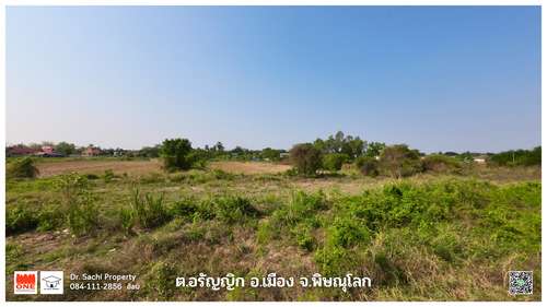 ขายที่ดิน 1-2-90 ไร่ ใกล้สวนเฉลิมพระเกียรติฯ ต.อรัญญิก อ.เมือง จ.พิษณุโลก