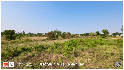 ขายที่ดิน 1-2-90 ไร่ ใกล้สวนเฉลิมพระเกียรติฯ ต.อรัญญิก อ.เมือง จ.พิษณุโลก