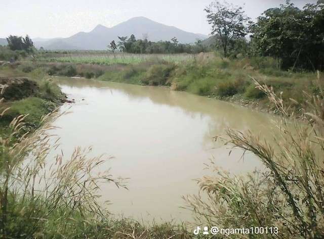 ขายที่ดินทำเลดี อยู่ใกล้แหล่งชุมชน ตำบลทุ่งหลวง อำเภอปากท่อ ราชบุรี