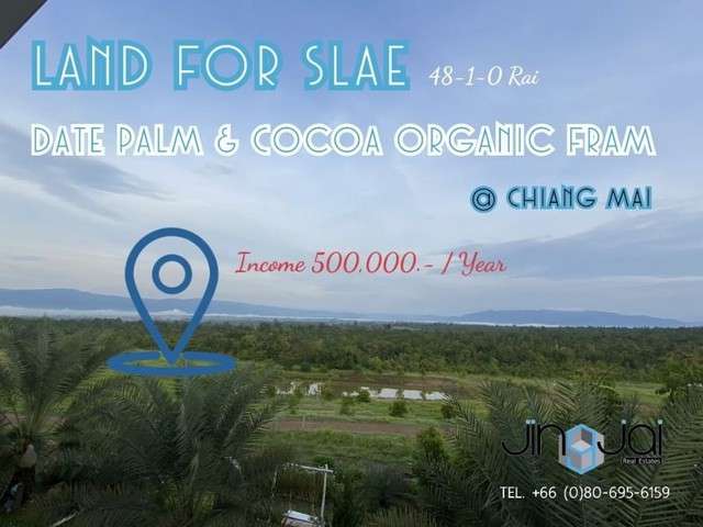 Land for sale Agriculture is a profitable business Additionally there is a holiday home in Chiang Mai