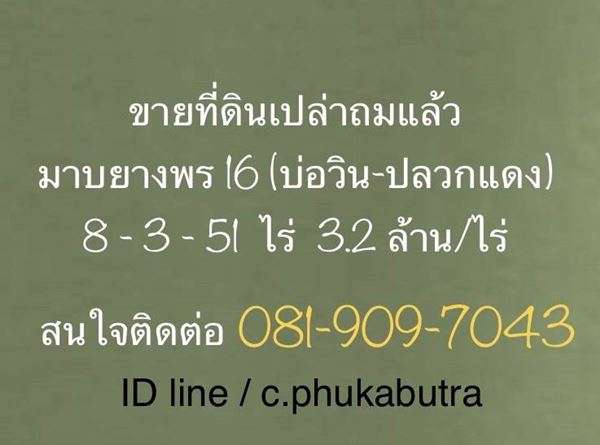 ขายด่วน!! ที่ดินเปล่า 8-3-51ไร่ มาบยางพร16 บ่อวิน-ปลวกแดง ถมแล้ว อ.ปลวกแดง จ.ระยอง โทร 081-909-7043