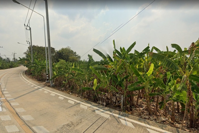 81071 – ขายด่วน! ที่ดินเปล่า ติดถนนคอนกรีต 1-3-92 ไร่ ถนนเลียบคลอง 3 ไทรน้อย นนทบุรี