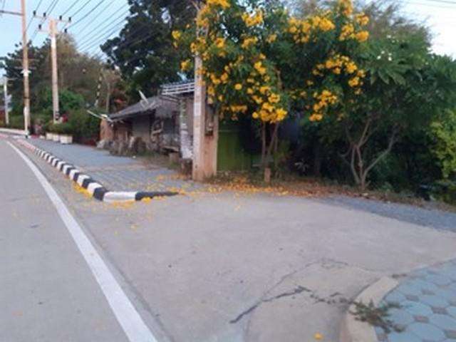 ขายที่ดินติดถนนมาลัยแมน อำเภอสองพี่น้อง จังหวัดสุพรรณบุรี ขนาด 11 ไร่ (เจ้าของขายเองไม่ผ่านนายหน้า)