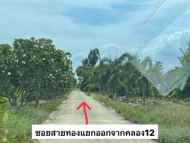 ขาย ที่ดิน2ไร่ คลอง12 หนองเสือ ปทุมธานีหันหน้าทิศใต้ถนนหน้าแปลง8เมตร