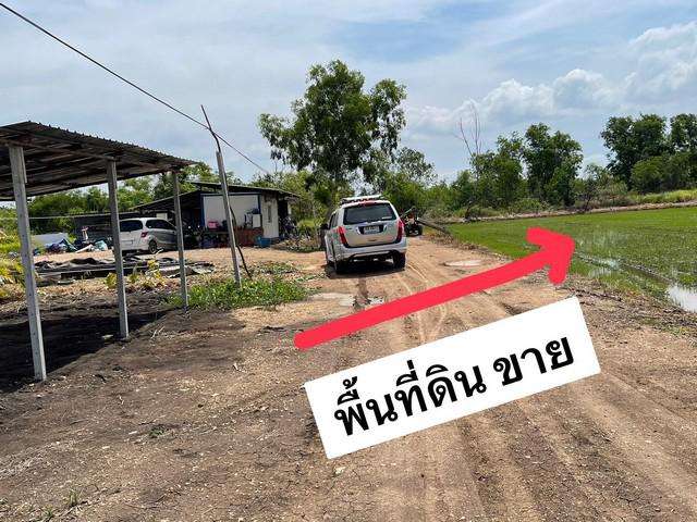 ขาย ที่ดิน2ไร่ คลอง12 หนองเสือ ปทุมธานีหันหน้าทิศใต้ถนนหน้าแปลง8เมตร