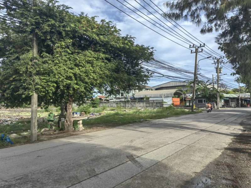 ขายที่ดิน 11-1-97 ไร่ ติดซอยเทศบาลสำโรงใต้21 (ซอยวัดบางหญ้าแพรก) บางหัวเสือ พระประแดง สมุทรปราการ ใกล้สะพานกาญจนาภิเษก และถนนวงแหวนอุตสาหกรรม