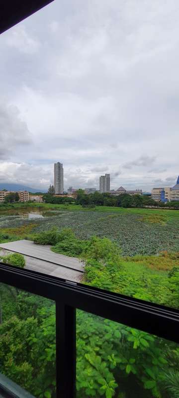 Treasure Condo near Central Festivla Chiangmai เทรเชอร์คอนโด ใกล้เซ็นเฟส ห้องพร้อมอยู่ วิวสวย