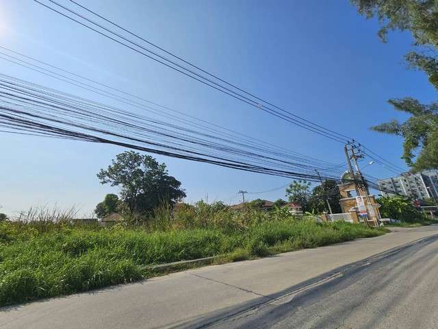 ขายที่ดิน บางนา ศรีด่าน22 ติดถนนเส้นหลัก 8 เมตร ใกล้เมกะ โรงเรียนนานาชาติไทยสิงคโปร์