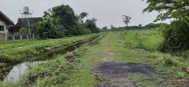 ขายด่วนที่ดินสวนลำไย มีน้ำไฟพร้อม ติดถนนคันคลองชลประทาน ตำบลทุ่งต้อม อำเภอสันป่าตอง จังหวัดเชียงใหม่