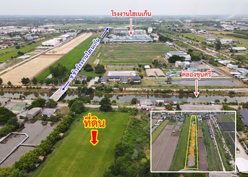 ที่ดิน ไทรน้อย ถนนบางบัวทอง – สุพรรณบุรี นนทบุรี