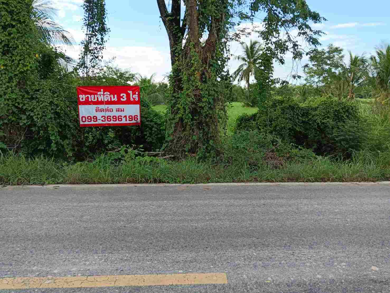 ขายที่ดินเปล่า 3 ไร่ติดถนนดำ ทำเลดี เดินทางสะดวก ต.ทรงธรรม อ.เมือง จ.กำแพงเพชร (เจ้าของขายเอง)